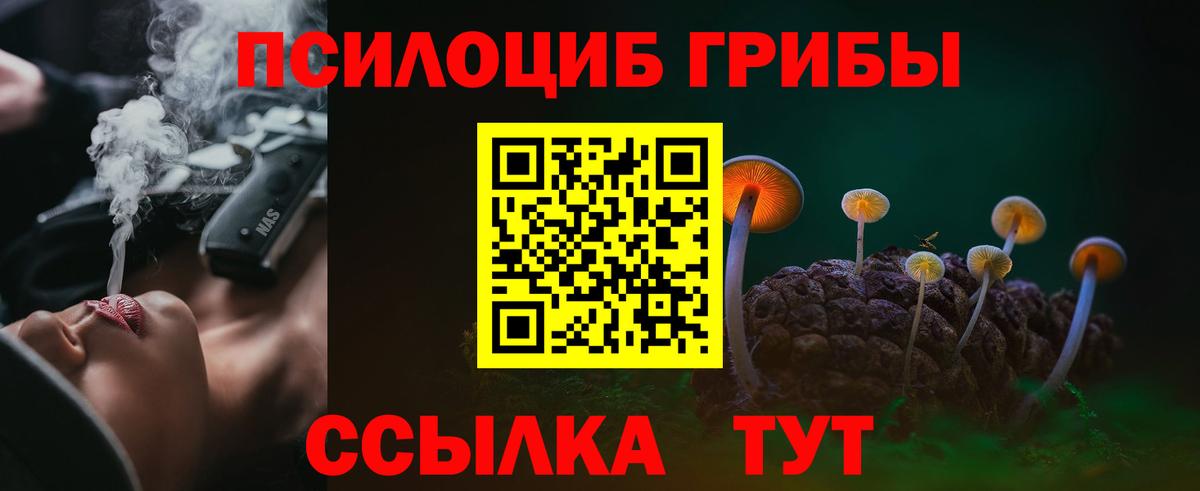 Удомля  Псилоцибиновые грибы прущие грибы  Псилоцибиновые грибы GOLDEN TEACHER  Вход с VPN 